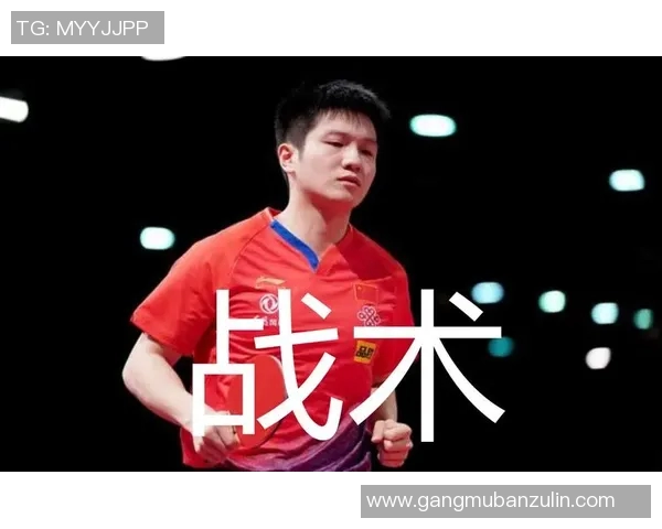 自由人对火花的全面分析与战术解析探讨