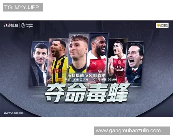 桑德兰与沃特福德对决前瞻分析及比赛结果预测